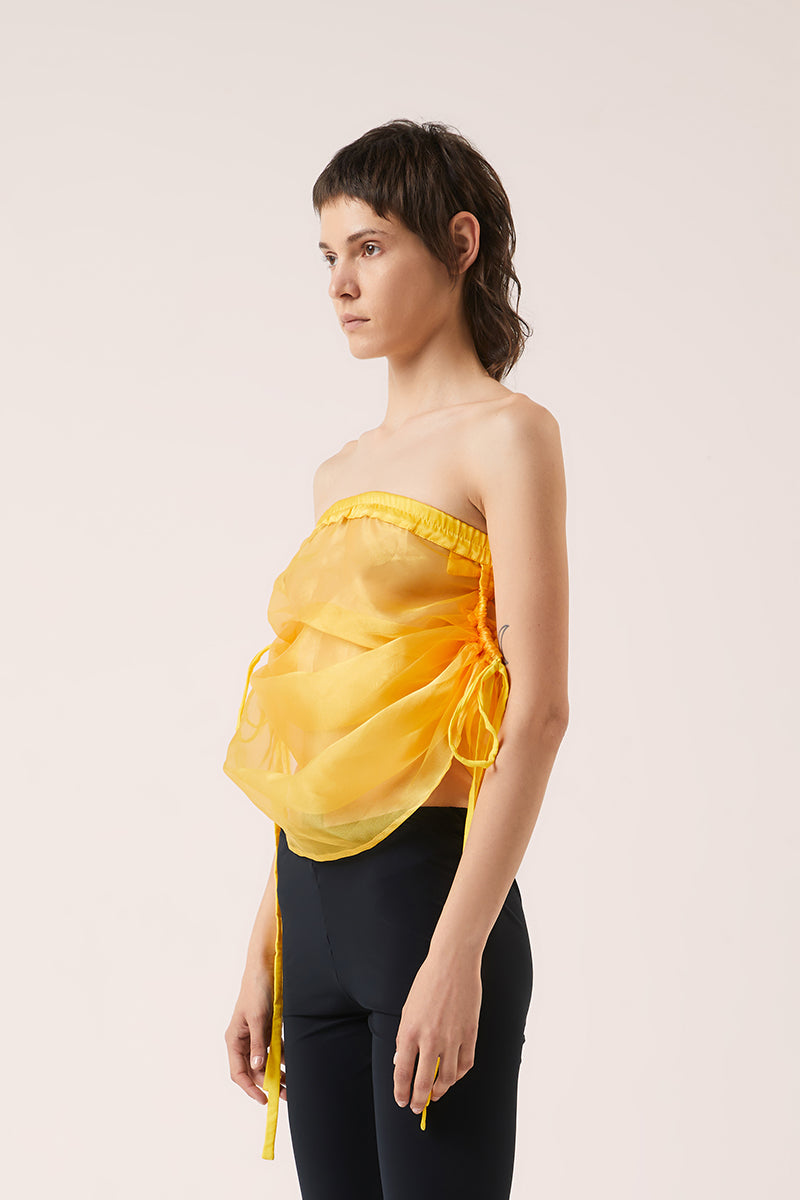 Transparent top-Yellow DIGITARIA